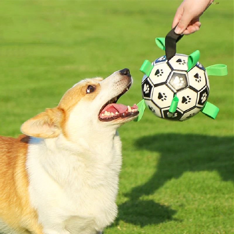 VILEKO Haustier Fußball